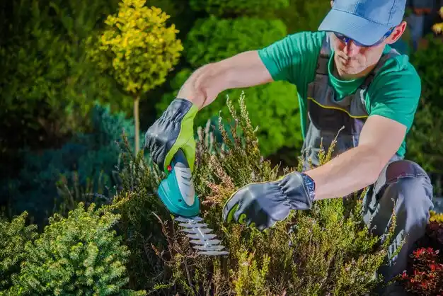 landscaping services Fair Plain